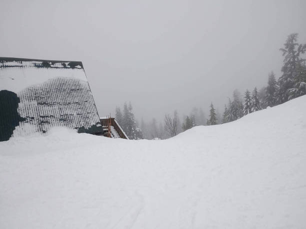 Snowy mountain top landscape with snow covered pine trees and cabins by cold front for wallpaper