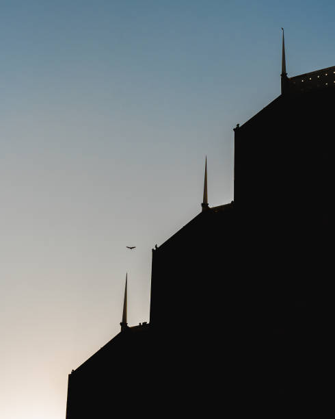 Silhouette of spired building and a bird
