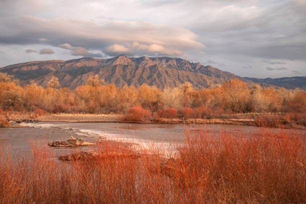 istock Rio Grande in Winter 2193600429