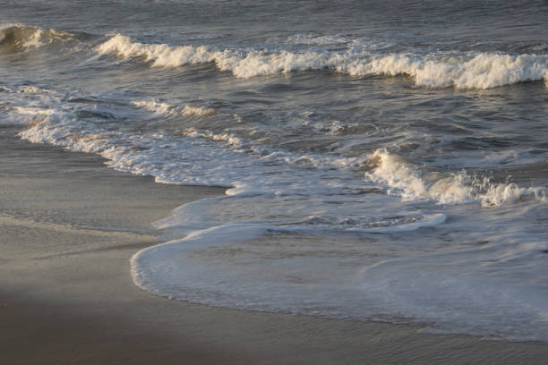 A tranquil scene of a deserted beach during sunset in Rio Grande do Norte, Brazil. Gentle waves roll onto the sandy shore, bathed in the warm, golden light of the evening, creating a peaceful and timeless atmosphere.