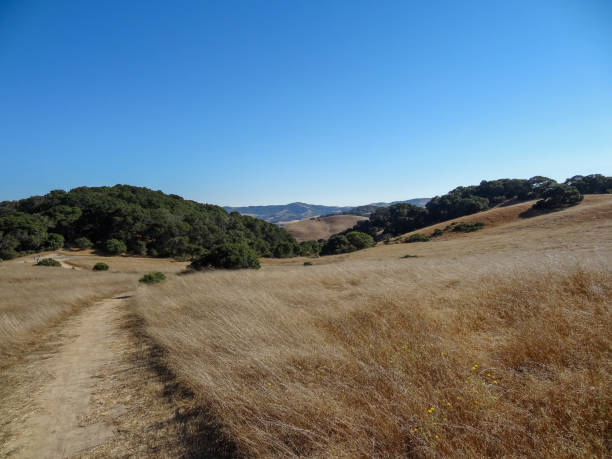 istock Helen Putnam Regional Park 26 2193603026