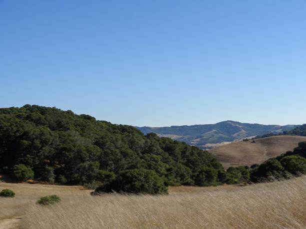 istock Helen Putnam Regional Park 24 2193603029