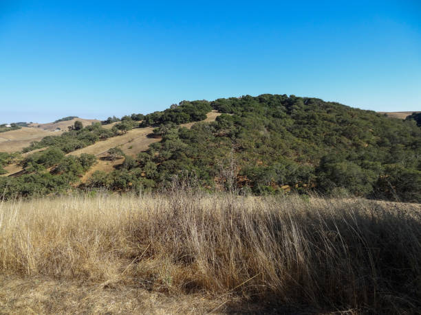 istock Helen Putnam Regional Park 17 2193603117