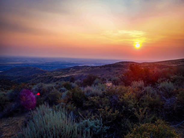 sun setting on the Montana high plateaus with sage in the foreground