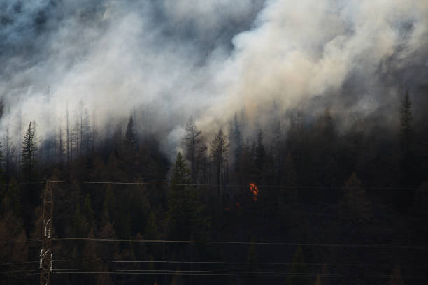 Wildfire engulfs forest area with dense smoke in mountainous region