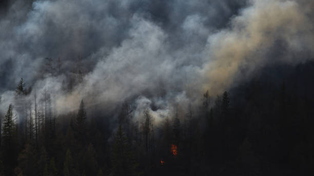 istock Smoke billows from forest fire in mountainous area near power lines 2193607835