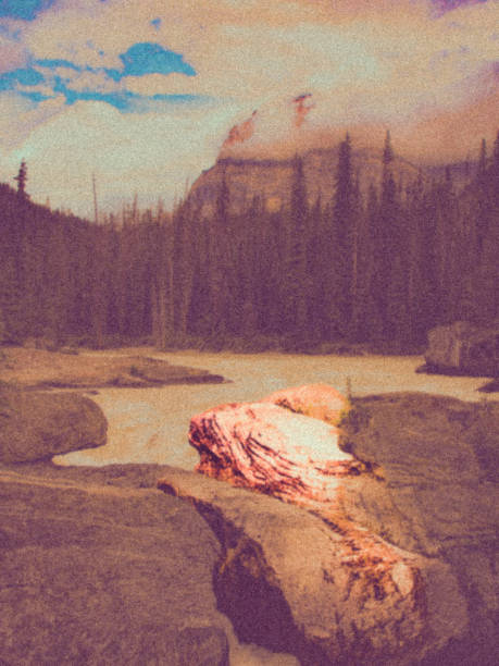 istock Natural Bridge, Yoho National Park, British Columbia 2193612271