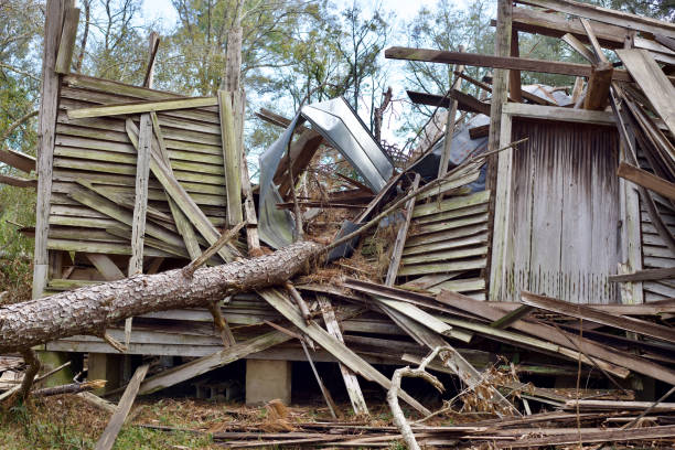 Months after Hurricane Helene's passage through Georgia, a toppled pine tree remains amid the debris of the historic Bethlehem Primitive Baptist Church in Brooks County. The church formed in 1834, and its sanctuary dates to the 1890s.