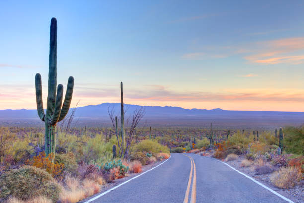 istock Arizona desert road 2193618576