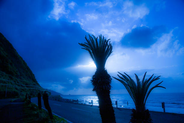 Creative Nature of Amami