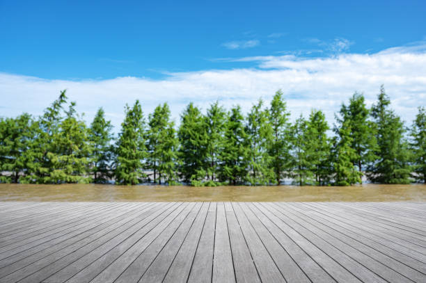 Empty wooden boardwalk by the riverbank