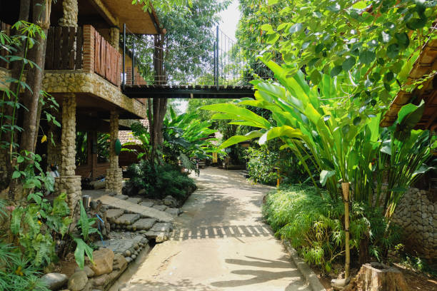 istock garden with various tropical plants 2193624958
