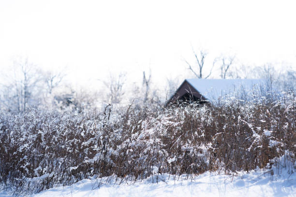 Snowfall against an old red barn. Beginning of winter in the nordics, Finland, Northern Europe.