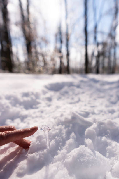 Human finger points at a tiny ice formation in the shape of a golf fee or mushroom on a hiking path during an ice storm, Evansville, IN