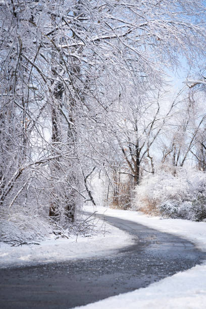 istock Country road winding through icy trees 2193627831