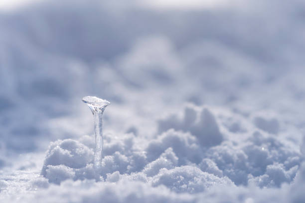 Tiny ice formation in the shape of a golf fee or mushroom on a hiking path during an ice storm, Evansville, IN