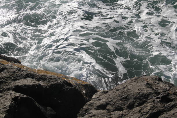 The Pacific coast on Vancouver Island, near Tofino