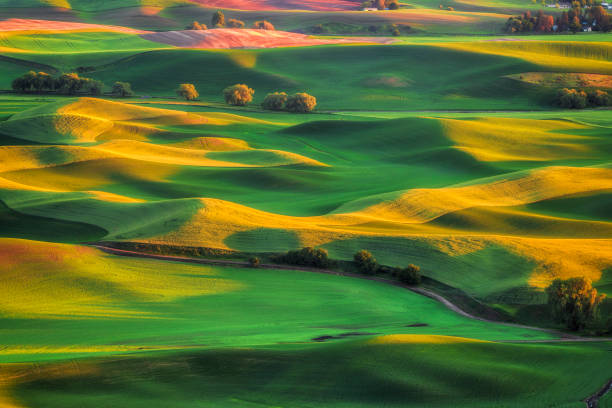 istock Rolling Hils of the Palouse 2193630107
