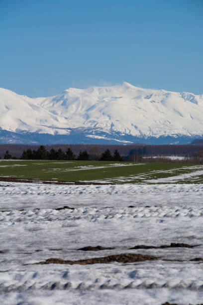 Green fields with residual snow and snowy mountains on a sunny spring day