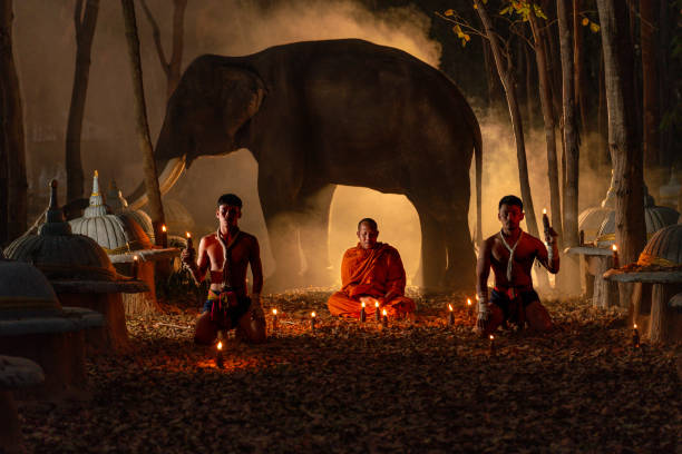 istock Monk with Muay Thai Fighters and Elephant in a Sacred Candlelit Ritual 2193630323