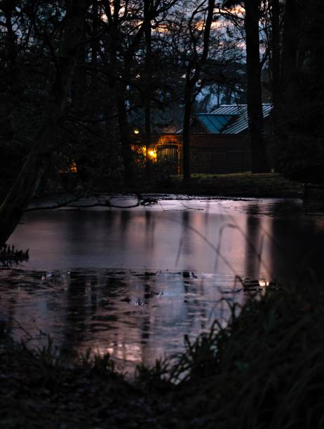 Early morning woodland cabin landscape with frozen pond in the foreground