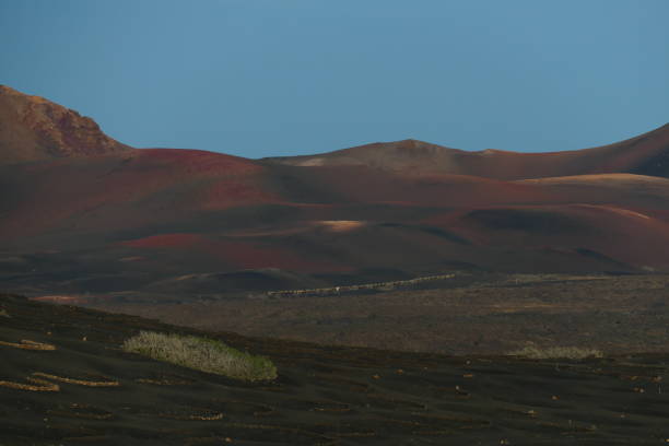 Volcanic landscape, view from La Geria, Lanzarote, Canary Islands