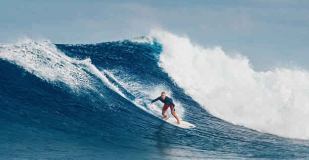 istock Pro surfer rides big wave in the Maldives 2193646573