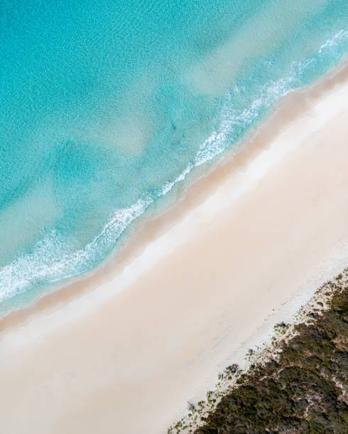 istock Aerial view of a pristine beach with turquoise waters. 2193652021