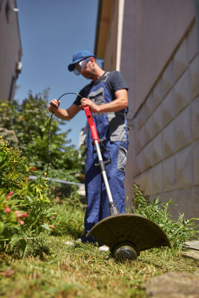 istock Gardener with a grass trimmer cutting overgrown grass and weeds 2193655820