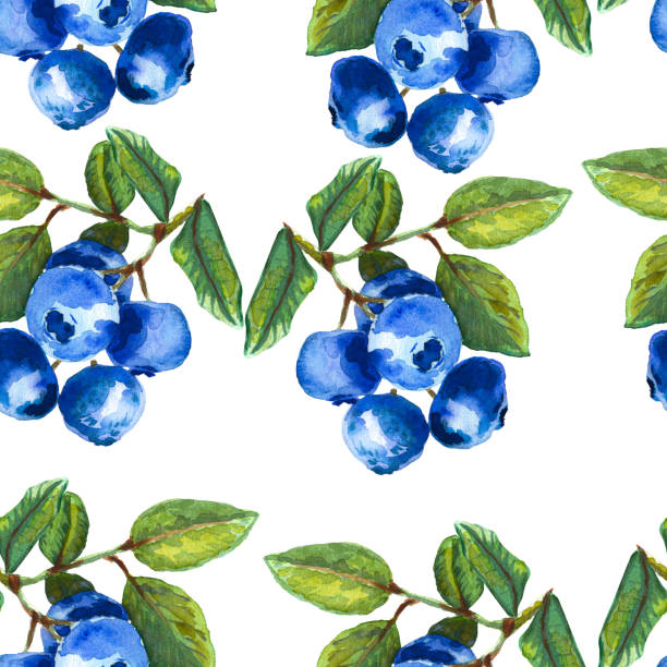 istock Blueberry watercolor pattern. Seamless pattern of ripe berries on a dark background. Botanical hand drawn illustration for fabric, textile, wallpaper, wrapping paper. 2193657917
