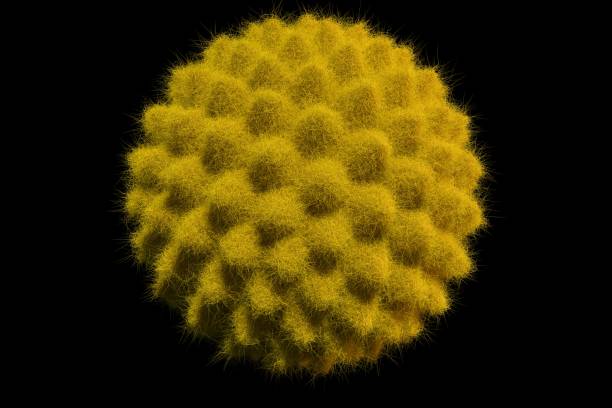 SEM image of a pollen grain at 5000x magnification, showing intricate reticulated surface, pores, and organic symmetry ideal for scientific and editorial use.