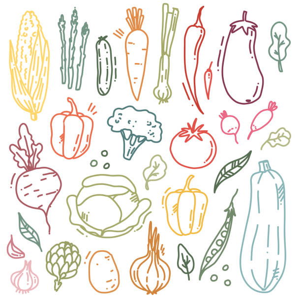 cute vector set of colorful vegetable cute set of vector vegetables, fresh outline elements radish art drawing stock illustrations