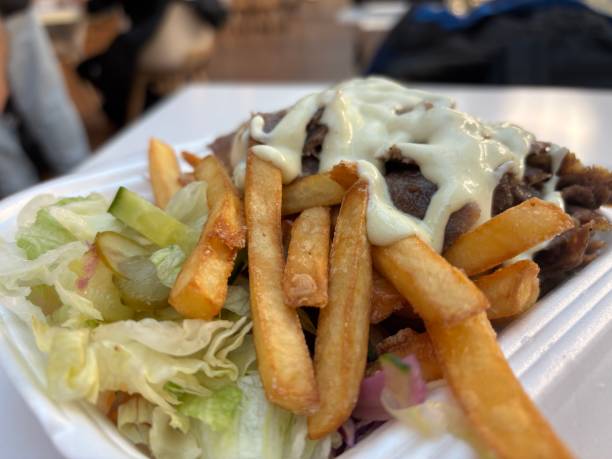 istock Donner Kebap Small Portion, Doner Meat and Chips, Donner, Shawarma or Gyro 2193668119