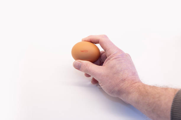 Hand holding British free range with a stamp indicating  the traceability and farming production method to ensure animal welfare.