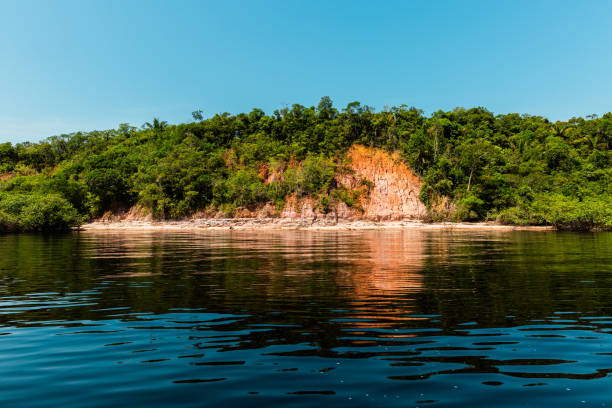 Wetlands in Amazon