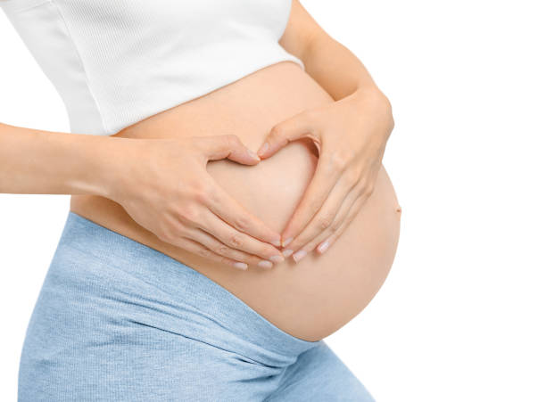 istock folded hands in the shape of a pregnant belly 2193682348