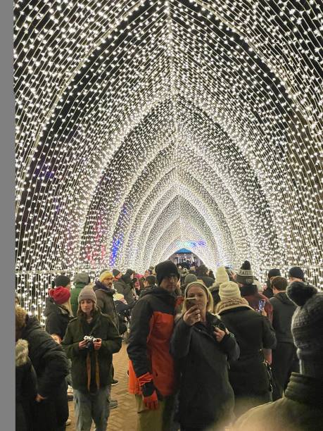 An arched tunnel made with fairy lights at Chicago Botanic Garden annual Lightscape event at night in the winter