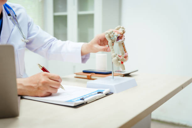 istock A male doctor wearing glasses sits at a desk, explaining an intestinal model, discussing anatomy, small and large intestine functions, colitis, colon cancer, appendicitis symptoms,digestive health 2193686072