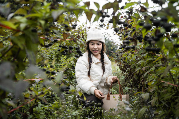 A smiling young woman in a plaid shirt stands in a lush garden holding a container of freshly picked raspberries, exuding happiness and connection with nature and farming