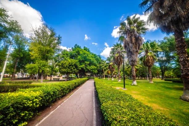 Public park with trees and a blue sky, Carretas park in Queretaro