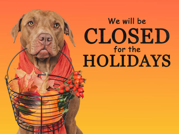 istock Signboard with the inscription We will be closed 2193697899
