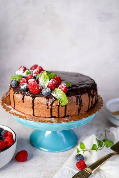 istock Homemade vanilla layered sponge cake 2193697985