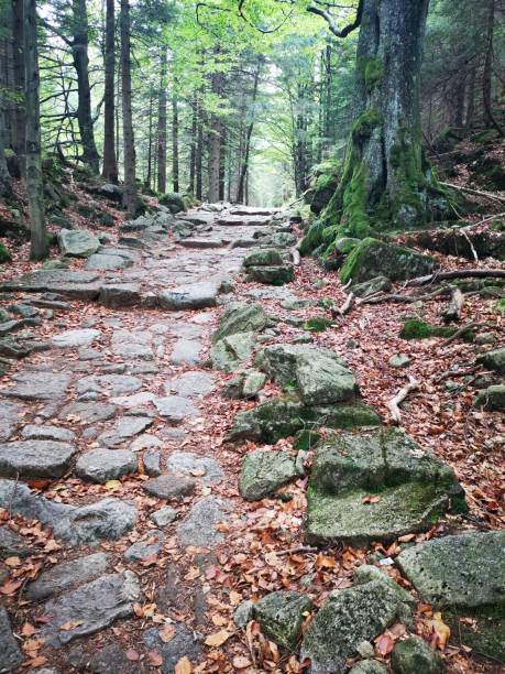 Hiking in the Sudetes