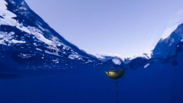 istock Yellow buoy floating over the sea 2193706118