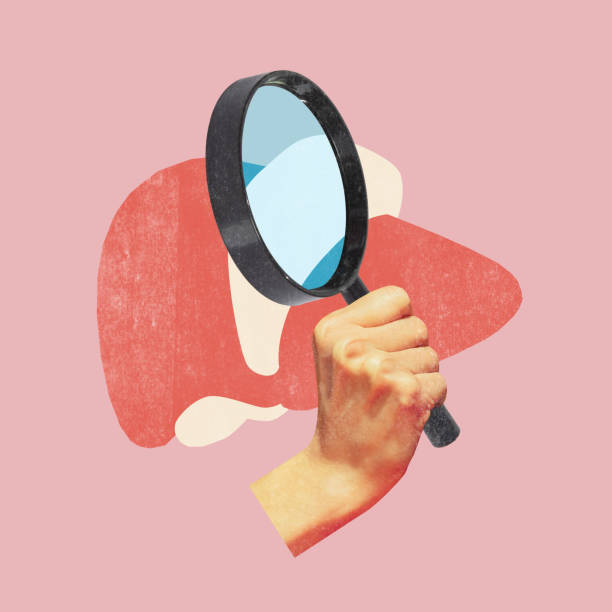 istock Conceptual design featuring hand holding magnifying glass over stylized liver illustration on pink background 2193706837