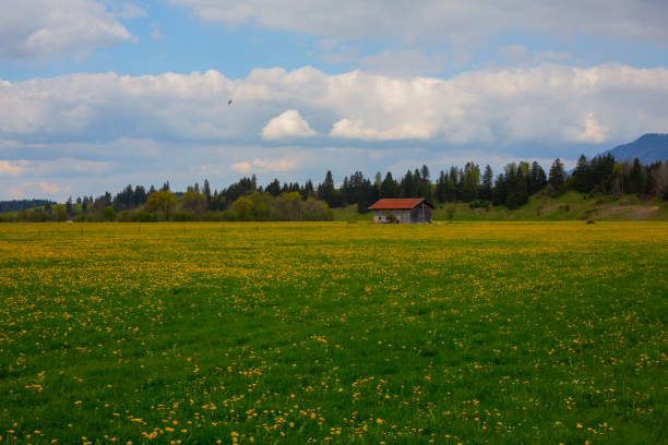 Rundtour zum Hegratsriedsee • Wanderung