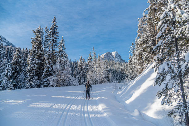 istock Winter forest in Banff Park 2193711483