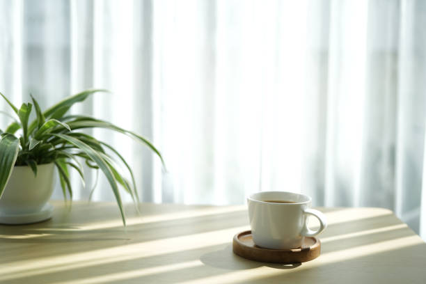 istock coffee cup and plant pot plant pot on white table minimal interior under sunlight 2193712050