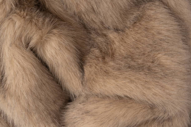 istock Texture of faux fur as a background, top view. 2193715574