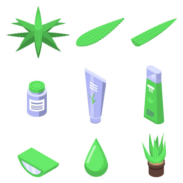 Aloe icons set, isometric style Aloe icons set. Isometric set of aloe vector icons for web design isolated on white background aleo vera stock illustrations